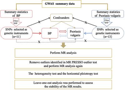 Causal association between psoriasis vulgaris and bullous pemphigoid: a two-sample bidirectional Mendelian randomization study